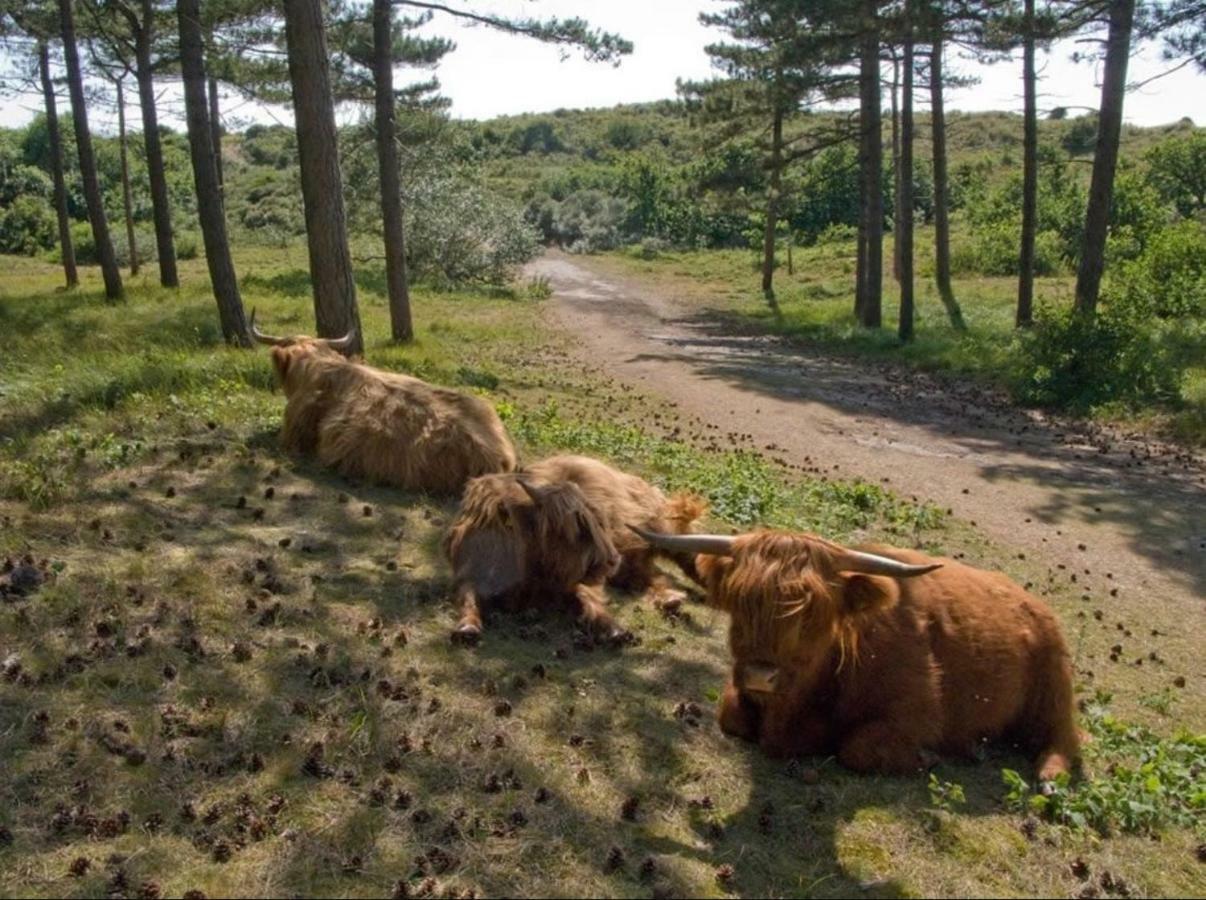 Viale Egmond aan Zee Exterior foto